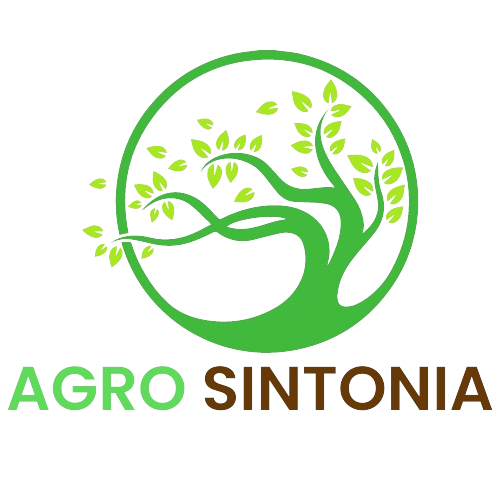 Agro Sintonia