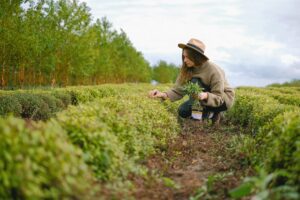 Agricultura